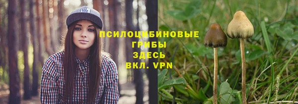 mdpv Абдулино