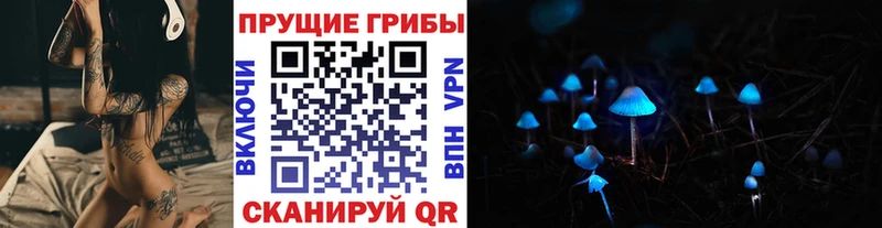 что такое наркотик  Болохово  Галлюциногенные грибы мицелий 