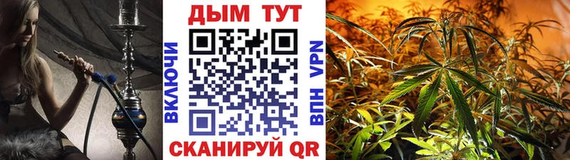 Бошки Шишки AK-47 Болохово